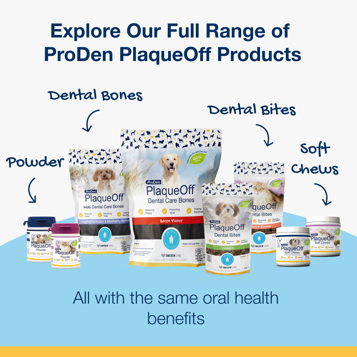 ProDen PlaqueOff 13 Dental Bones for Medium & Large Dogs, Chicken & Pumpkin