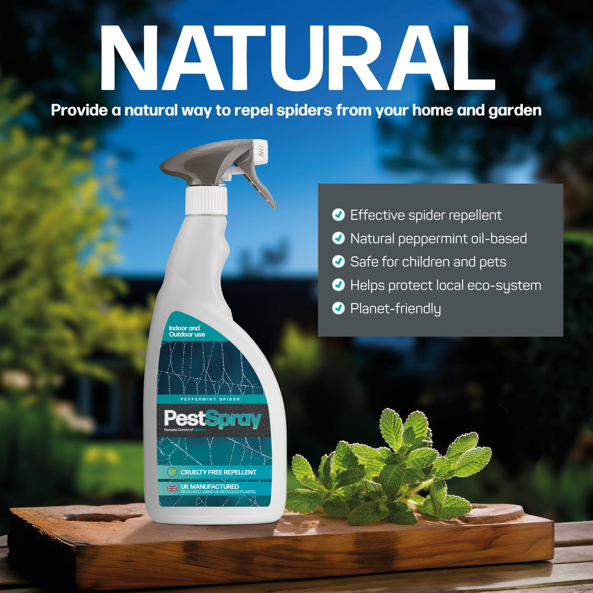Peppermint Spider PestSpray, Peppermint Oil Spray, Spider Repellent, 250ml Bottle, Suitable Indoor & Outdoor Use