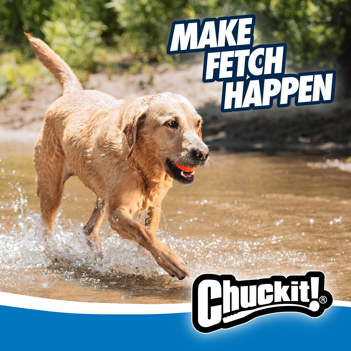Chuckit! Ultra Ball, Durable High Bounce Rubber Dog Ball, Launcher Compatible, 2 Pack, Medium