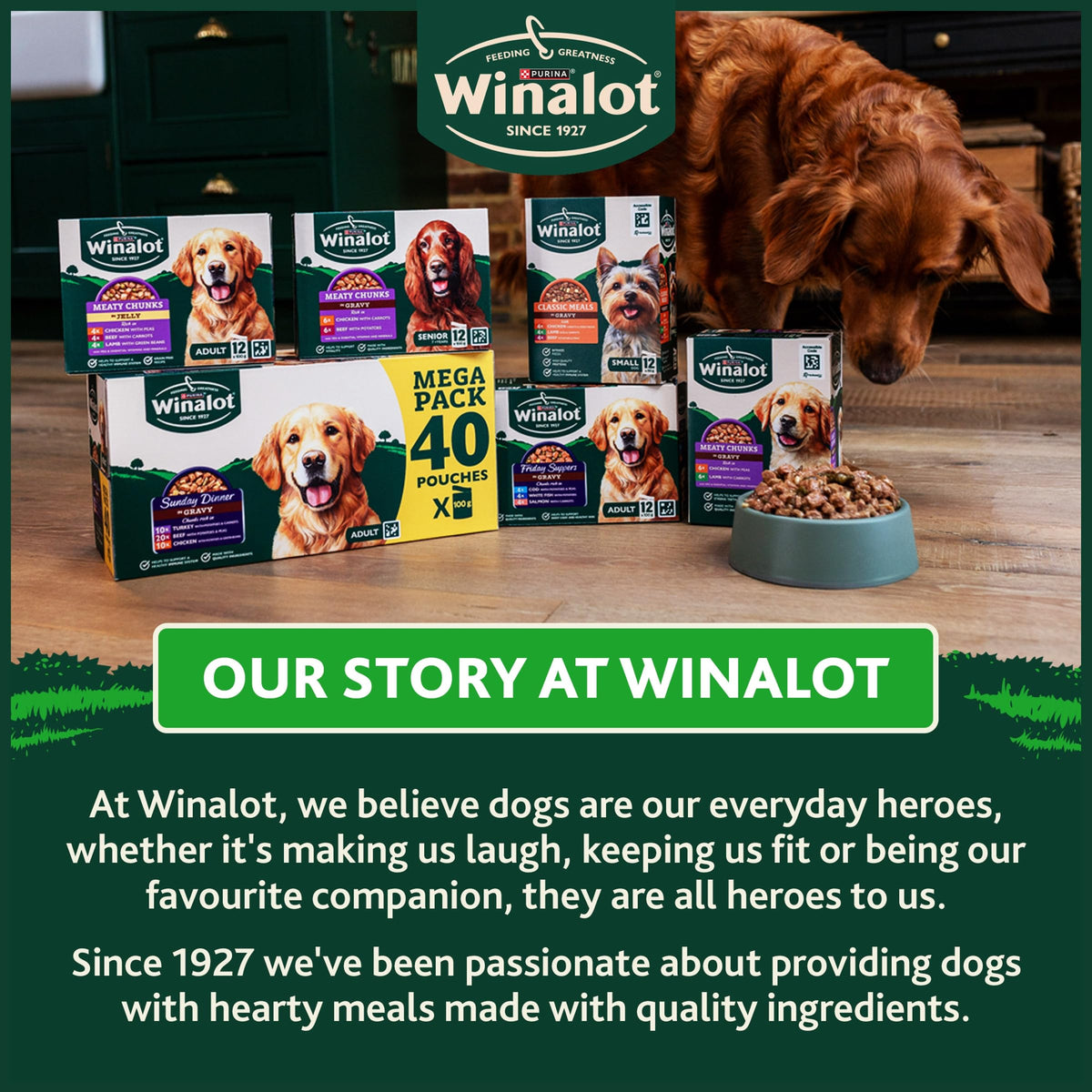 WINALOT Sunday Dinner Mixed in Gravy Wet Dog Food Pouches 40x100g
