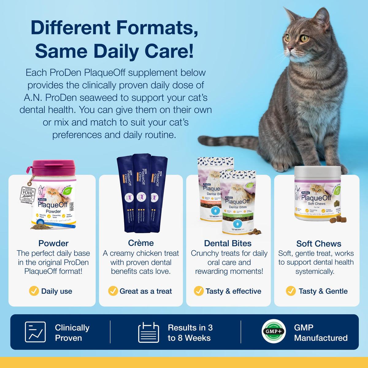 ProDen PlaqueOff 40g Dental Powder for Cats - 100% Natural, 4-Month Supply