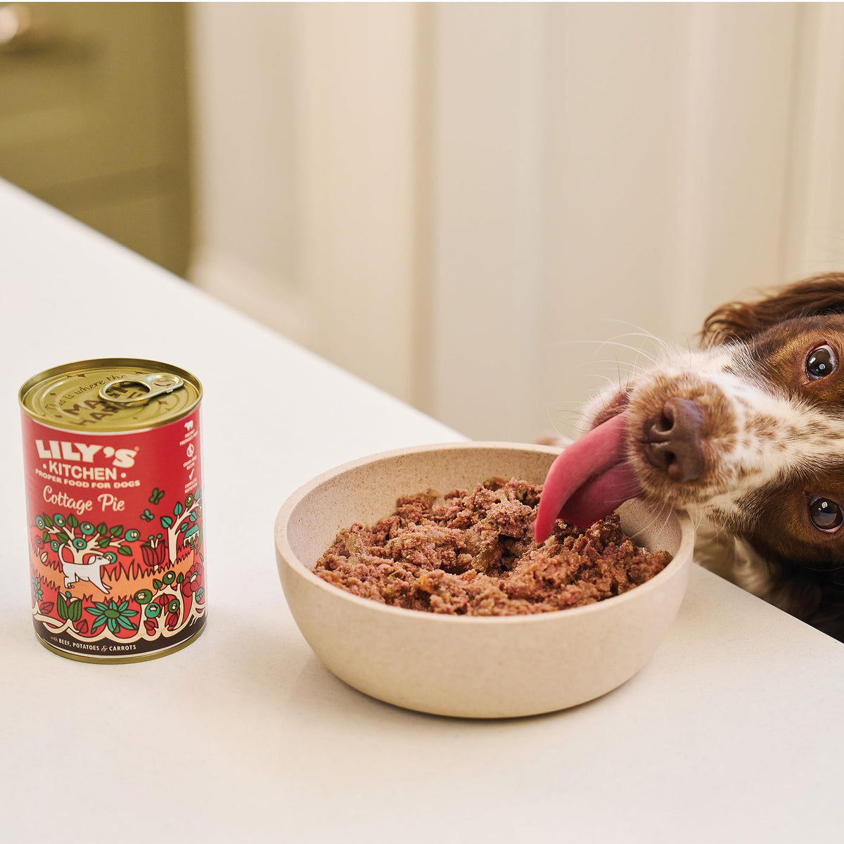 Lily's Kitchen Beef Goulash 150g