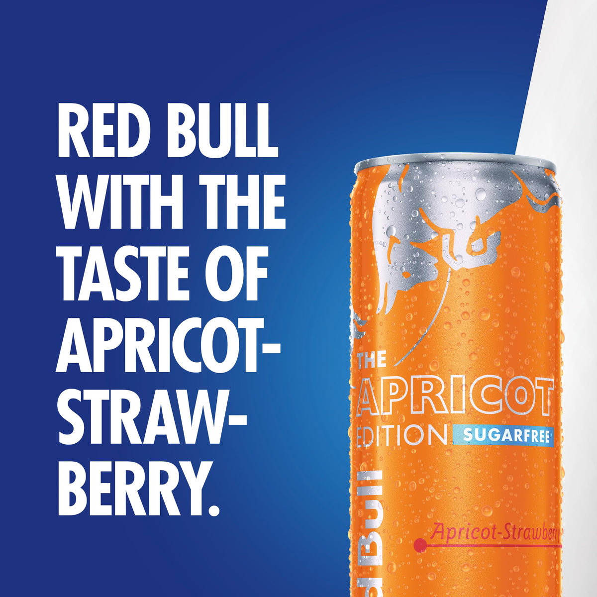 Red Bull Energy Drink Summer Edition Curuba-Elderflower, 250ml x 12