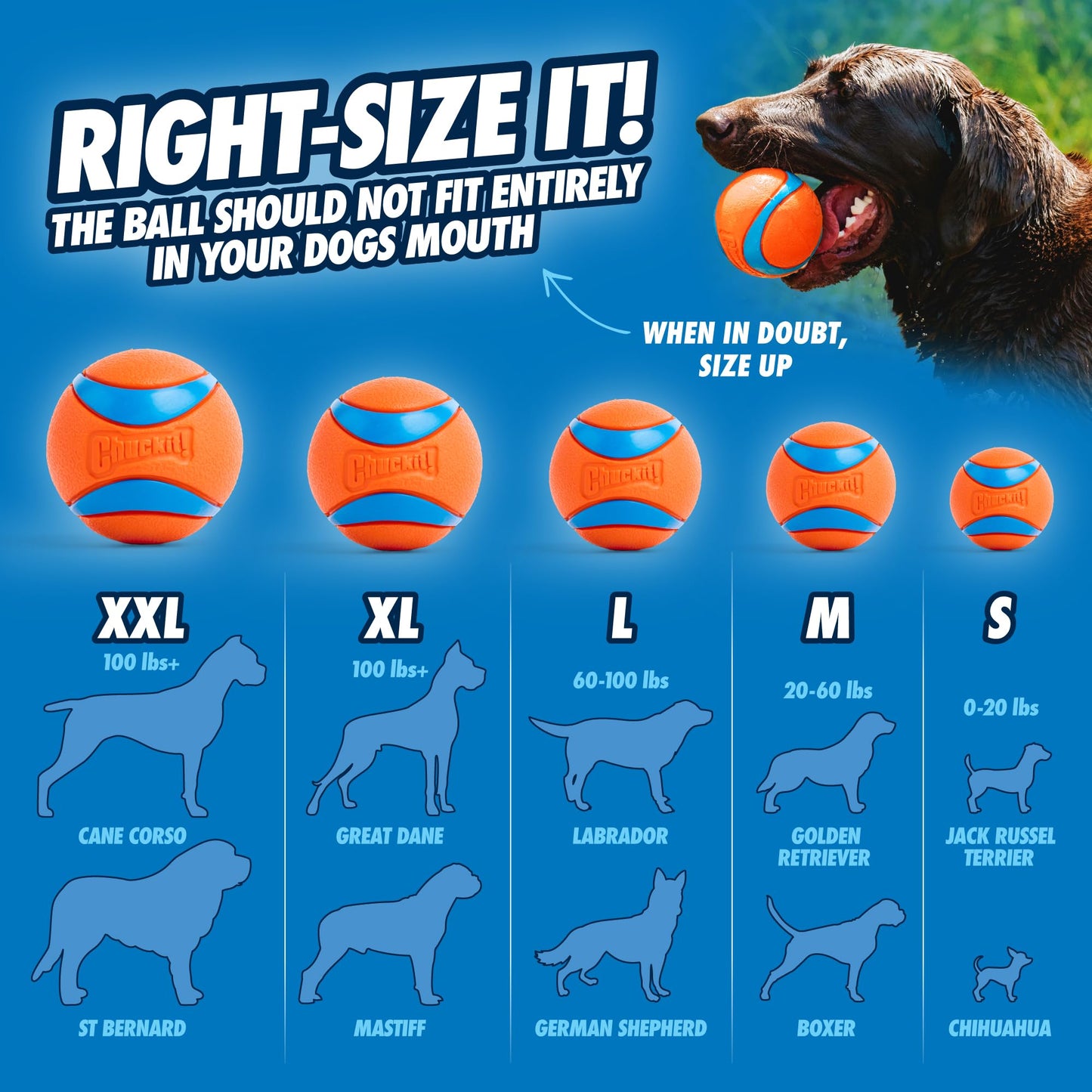 Chuckit! Ultra Ball, Durable High Bounce Rubber Dog Ball, Launcher Compatible, 2 Pack, Medium