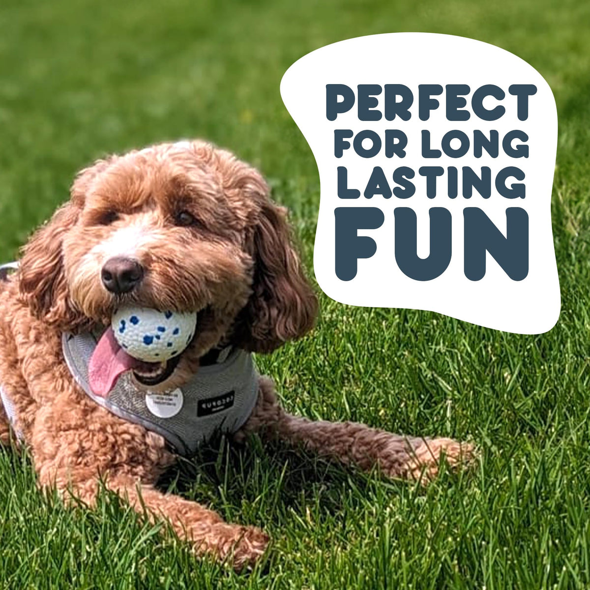 Petface Super Tennis Balls For Dogs, Throw and Fetch, Outdoor Exercise (Pack of 12)