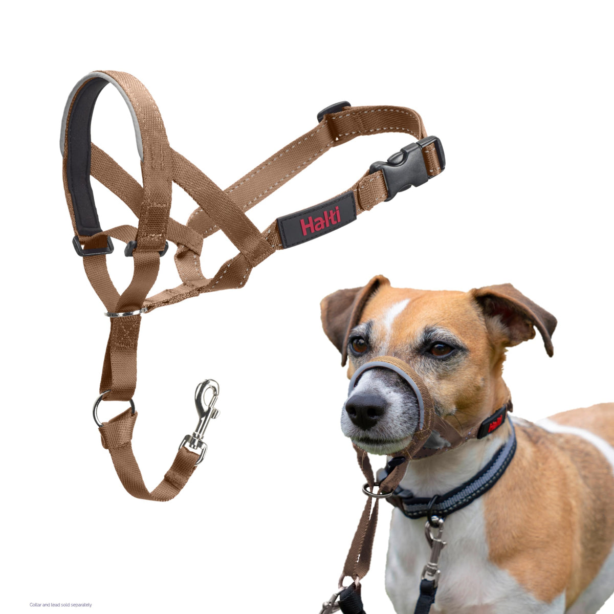 Halti Headcollar for Dogs | Size 3, Black