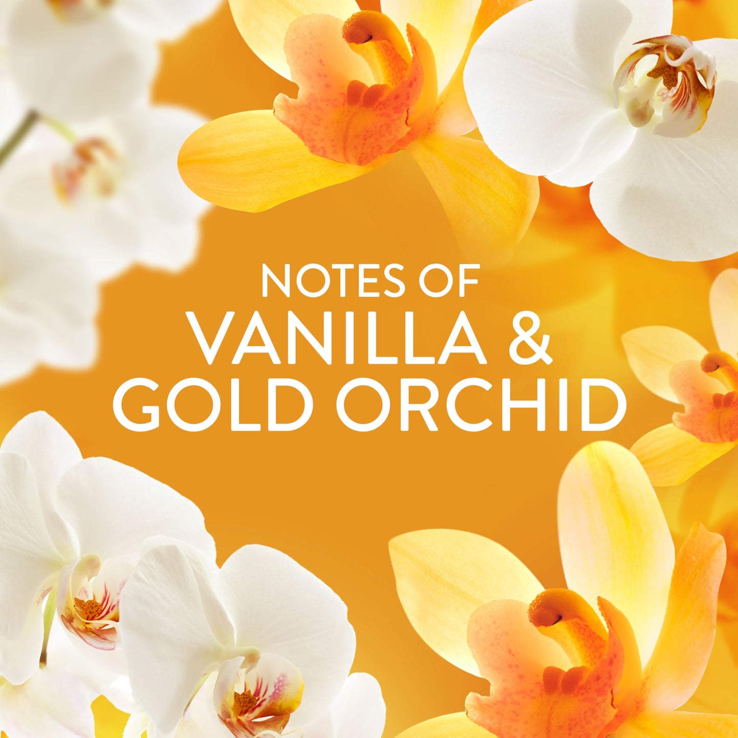 Lenor Laundry Perfume Scent Booster 495g, Gold Orchid, Non-Stop Freshness Up to 12 Weeks in Storage, Granules