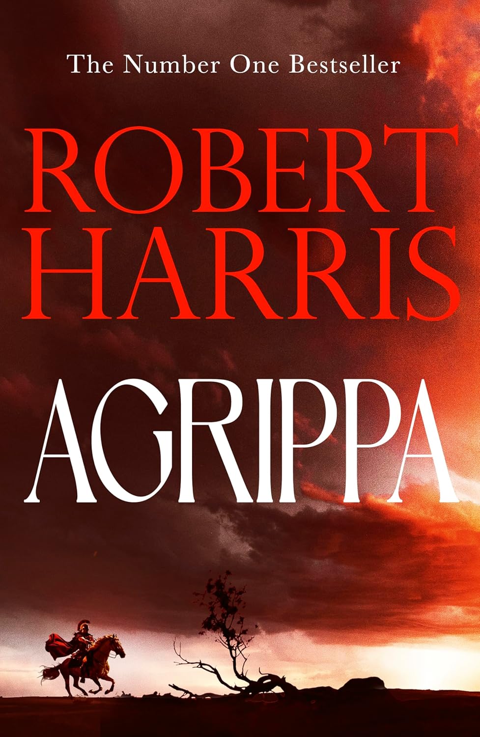 Agrippa: The thrilling new novel set in Ancient Rome from the bestselling author of Conclave