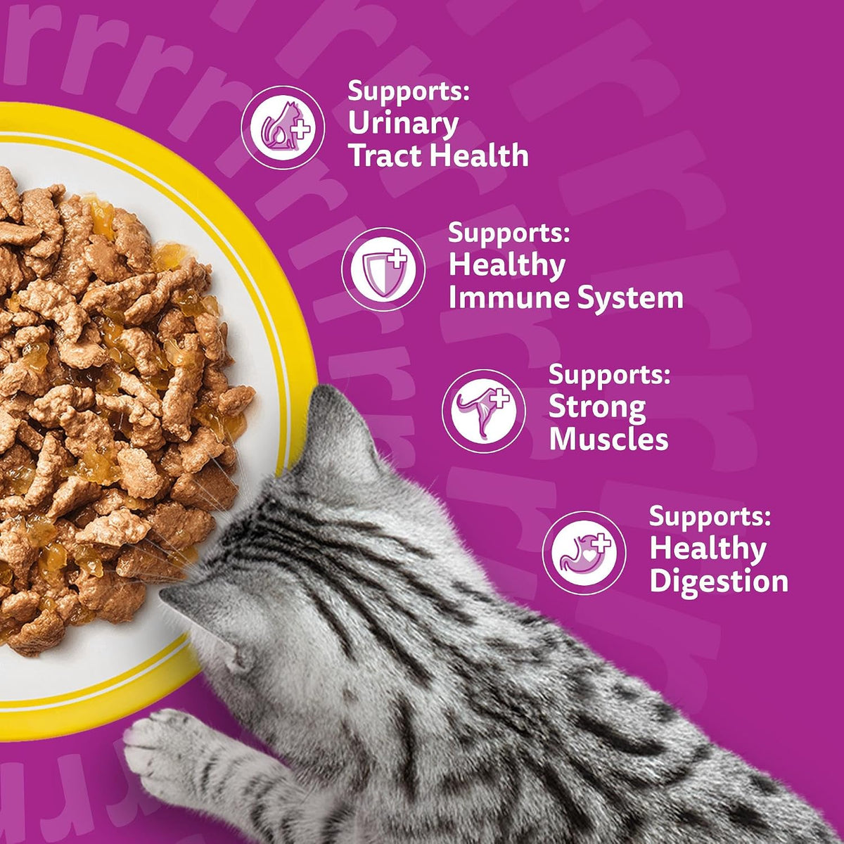 WHISKAS Senior 7+ Wet Cat Food in Jelly 40x85g Poultry Feasts