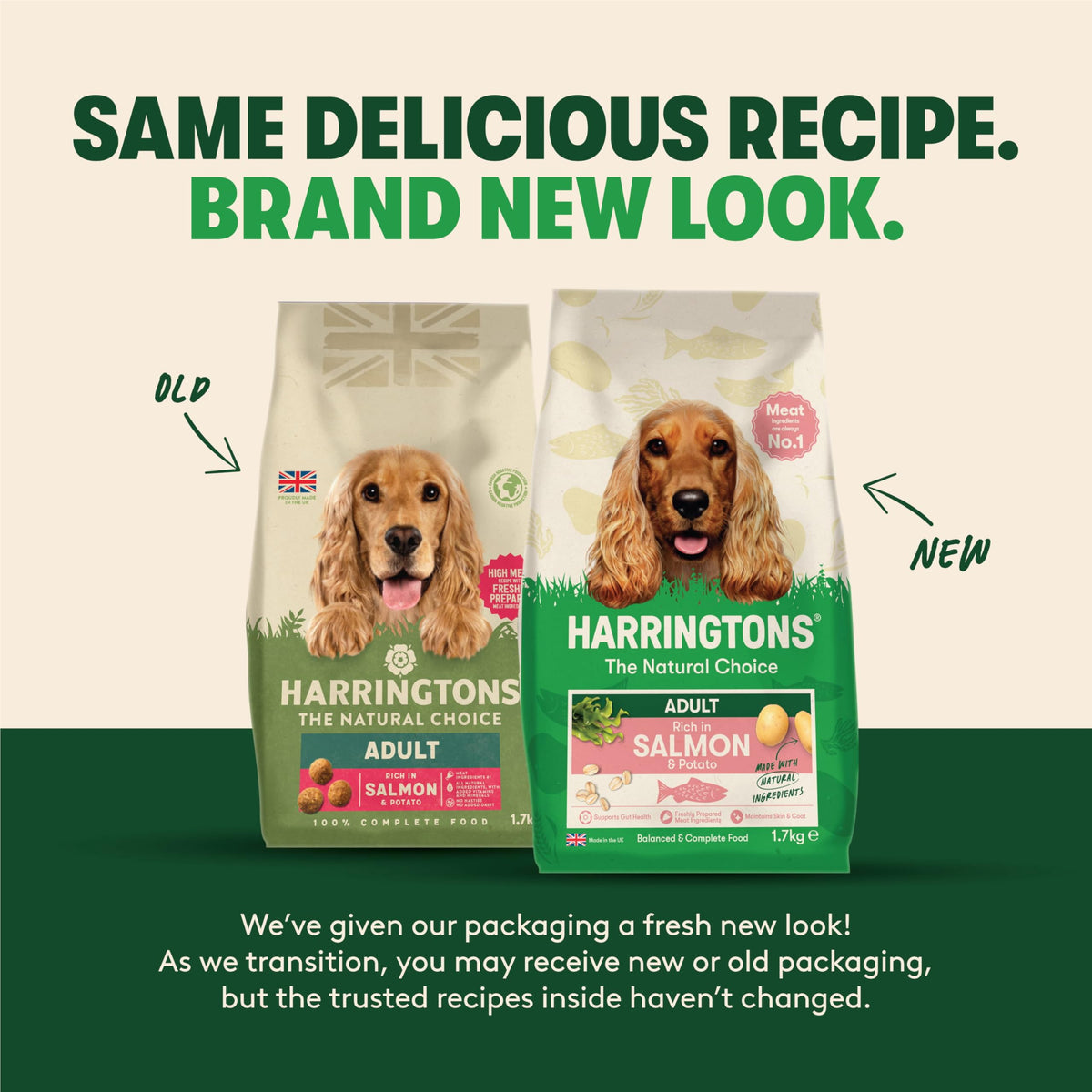 Harringtons Complete Dry Adult Dog Food Salmon & Potato 12kg
