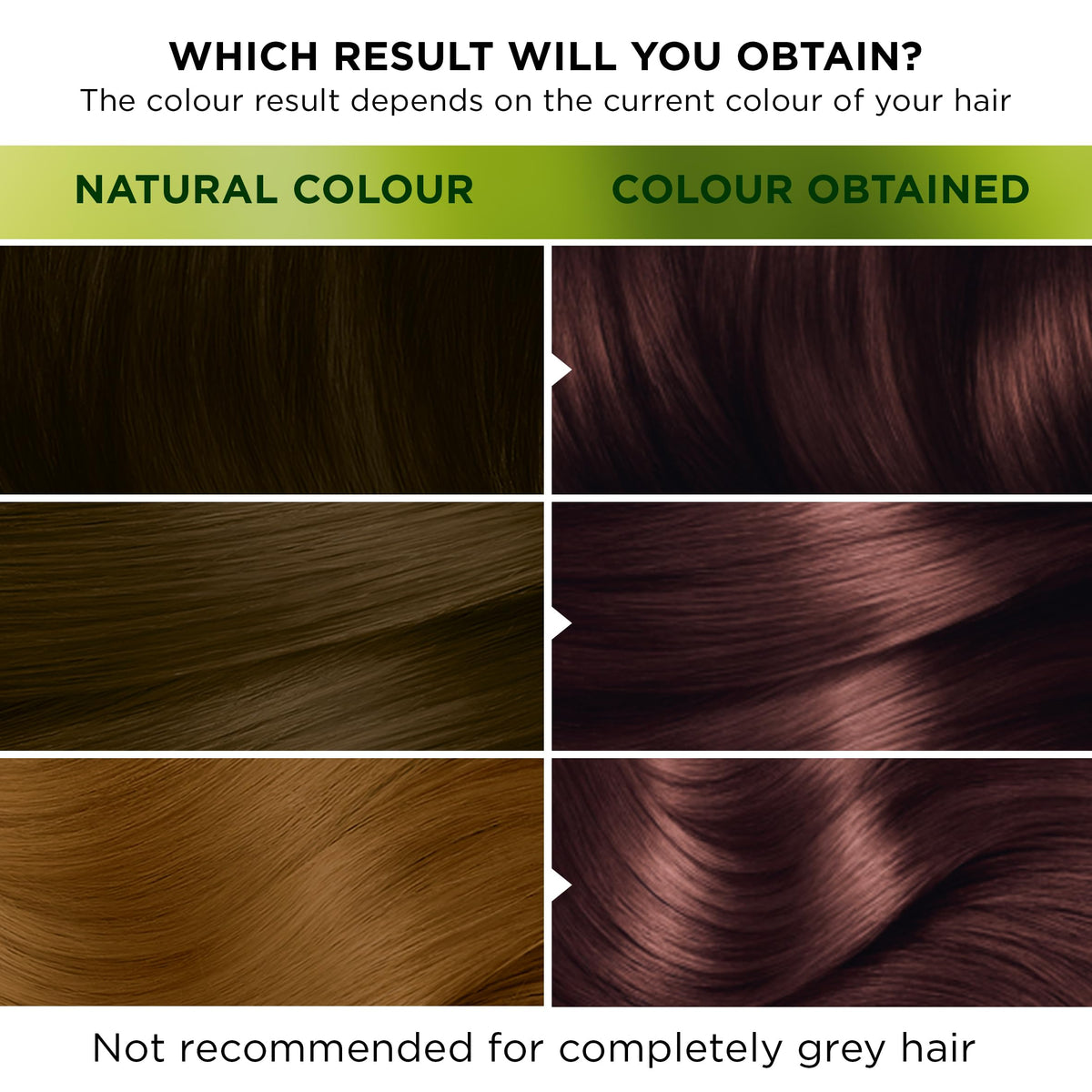 Garnier Nutrisse Ultra Color Permanent Hair Dye, 4.15 Iced Coffee Brown