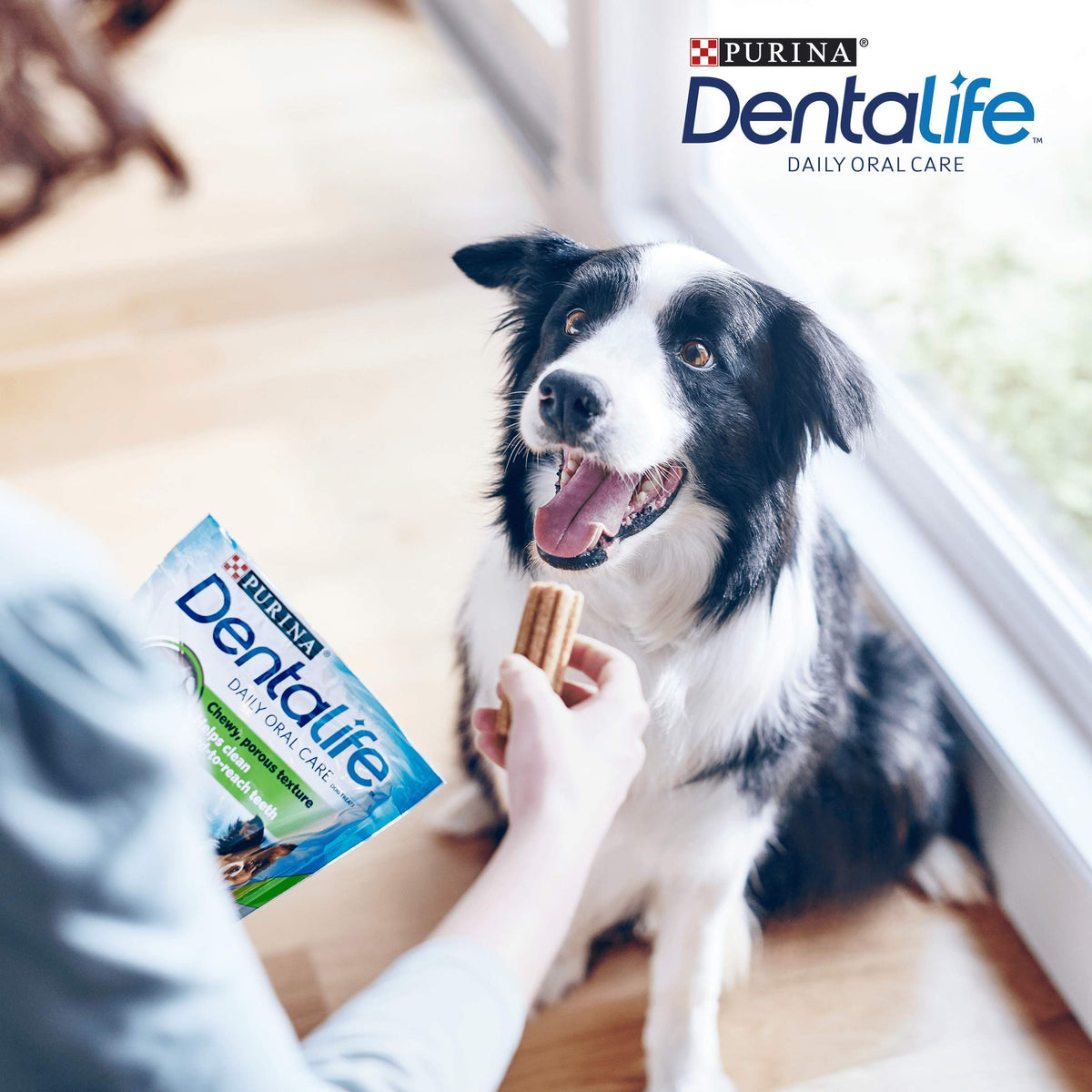 DENTALIFE Dental Chicken Cat Treats 40g (Pack of 8)