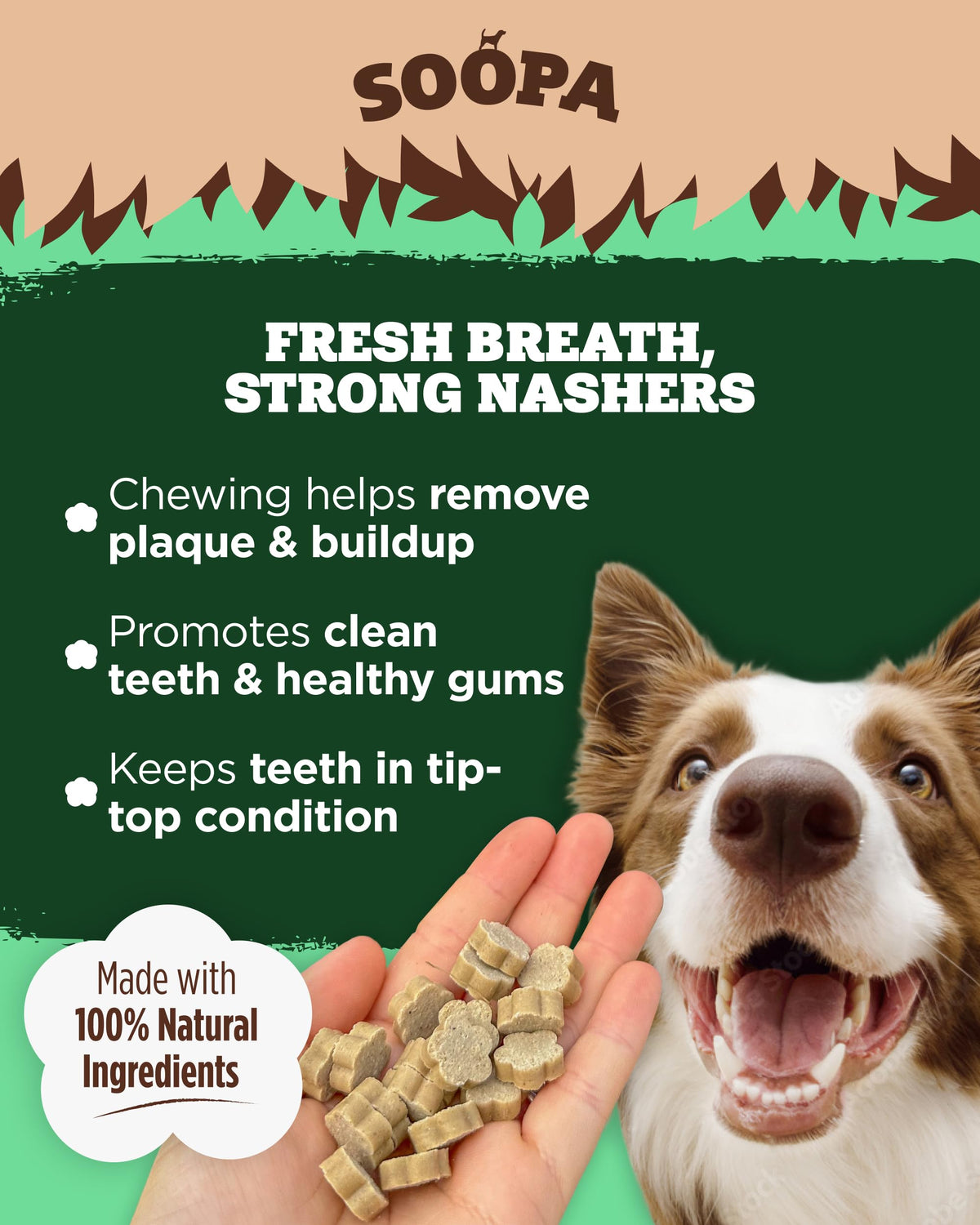 Soopa Strawberry Dog-Quiri Healthy Bites, Dog Training Treats, 50 g, 1-Pack