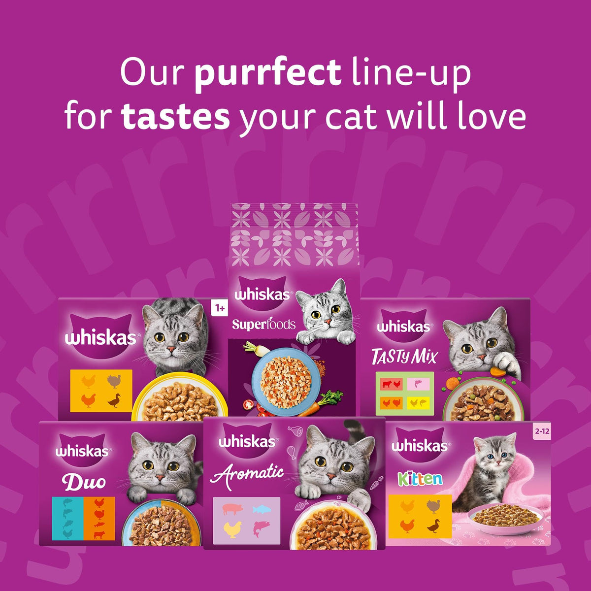 WHISKAS Adult Wet Cat Food in Jelly 40x85g Fish Favourites