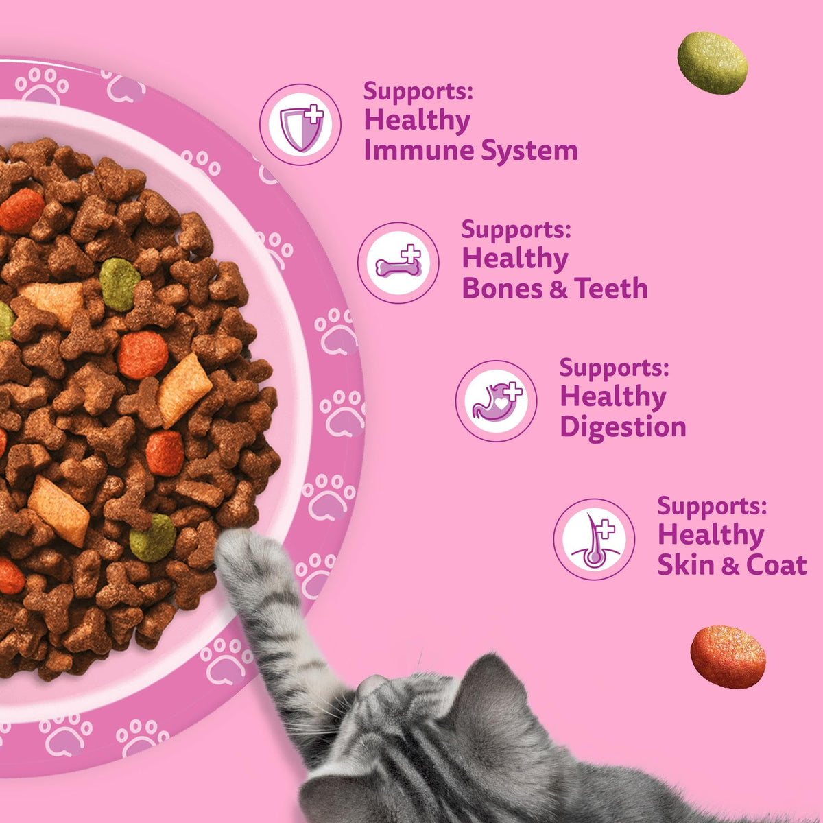 Whiskas Junior Chicken 7 kg Bag, Kitten Cat Dry Food - Pack May Vary