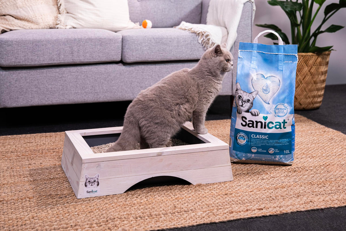 Sanicat - Classic Marseille soap scented cat litter Fast absorption product for your pet’s hygiene | No dust | Keep Your Home Clean | 10L capacity