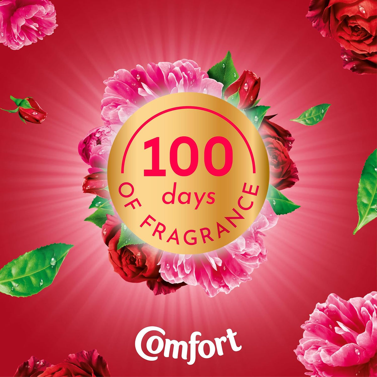 Comfort Creations Peony & Rose Fabric Conditioner with Stay Fresh technology for 100 days of freshness + fragrance* 8x 900 ml (240 washes)
