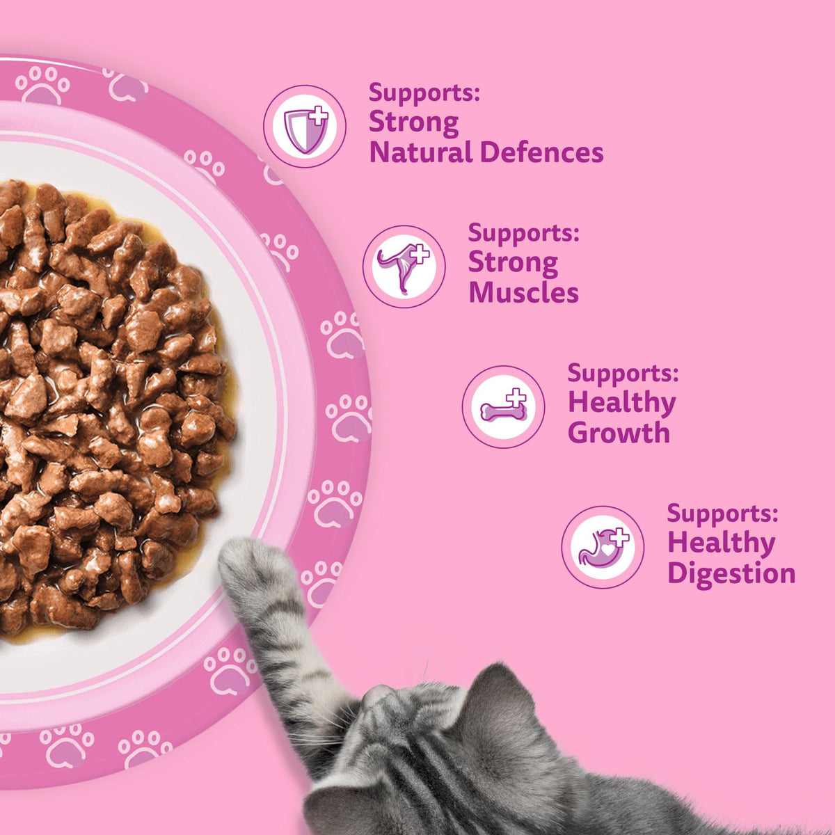 whiskas Junior Poultry Selection in Jelly 84 Pouches, Wet Kitten and Cat Food, Selection of Chicken, Duck, Poultry and Turkey, Megapack (84 x 85 g)