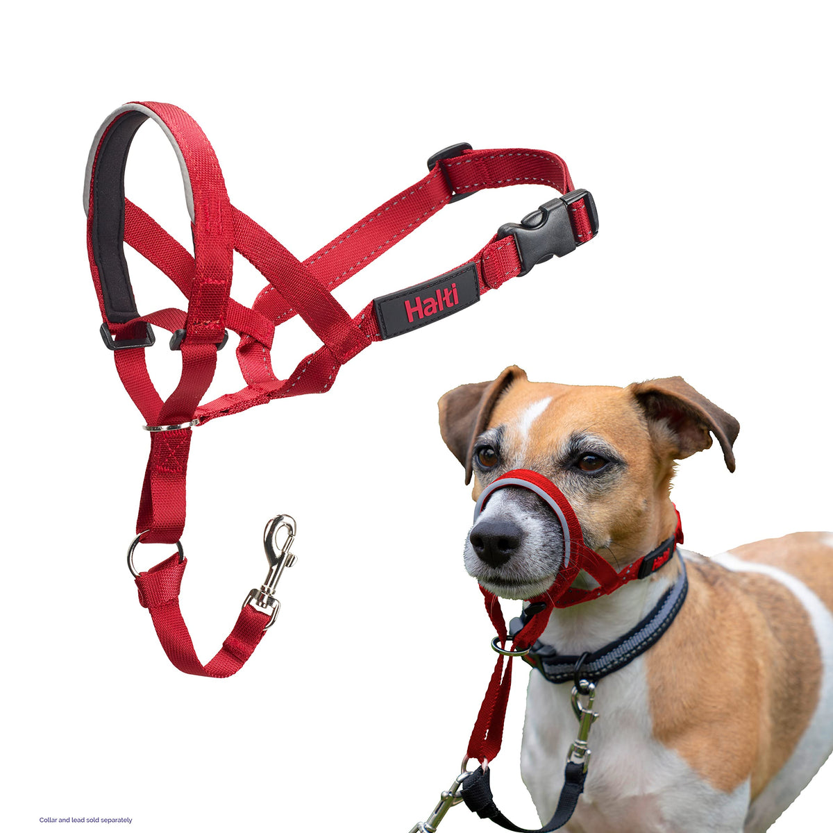 Halti Headcollar for Dogs | Size 3, Black