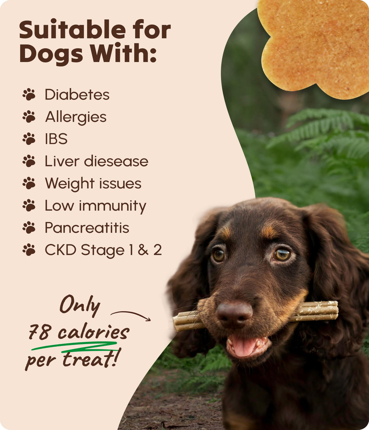 Soopa Carrot & Pumpkin Dog Dental Sticks, Chews to Clean Teeth, 100 g, 1-Pk