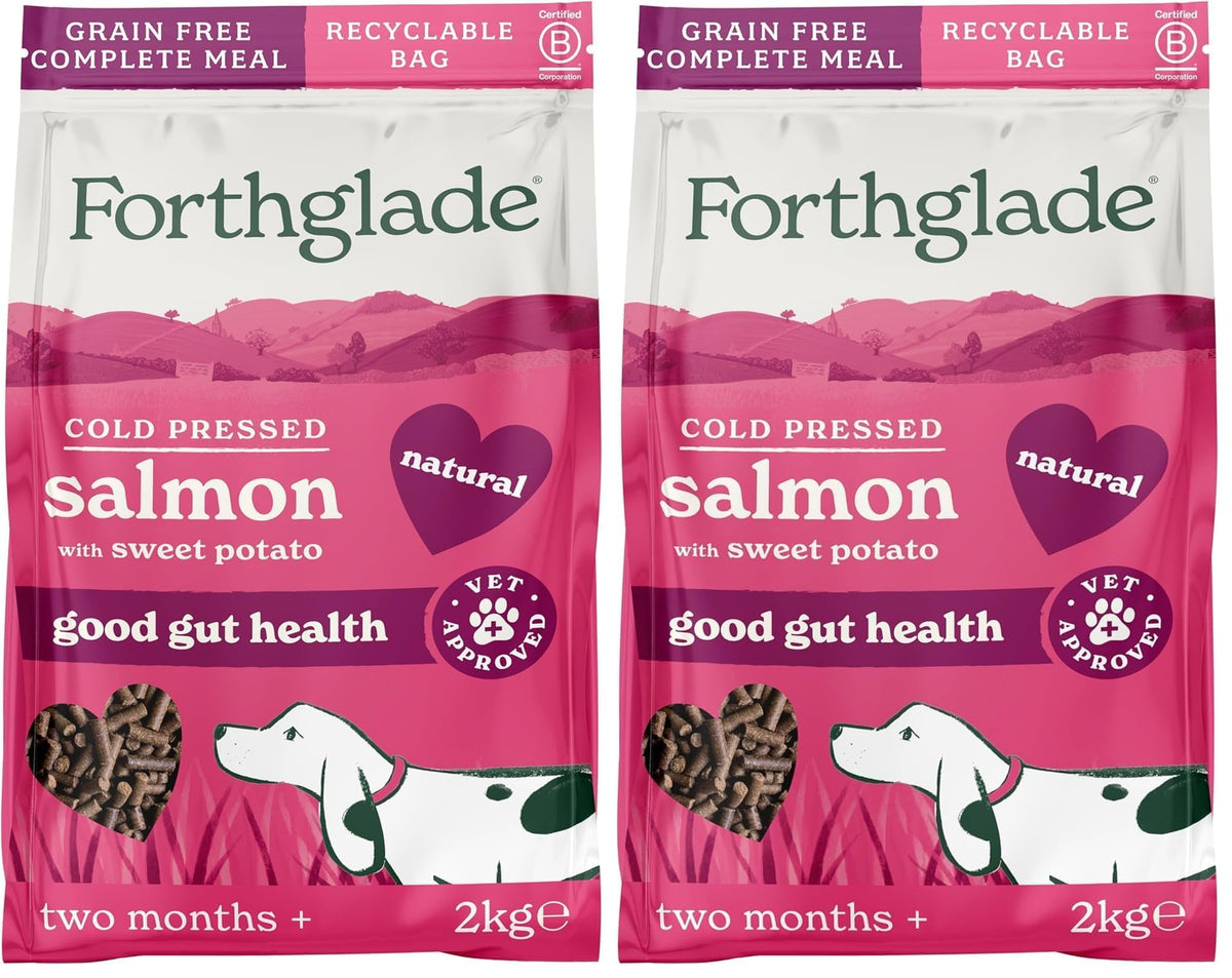 Forthglade Dry Dog Food, Cold Pressed (6kg), Hypoallergenic and Grain Free Dog Food, Salmon & Vegetables, Natural Senior, Adult and Puppy Meal Vet, Approved For Good Gut Health