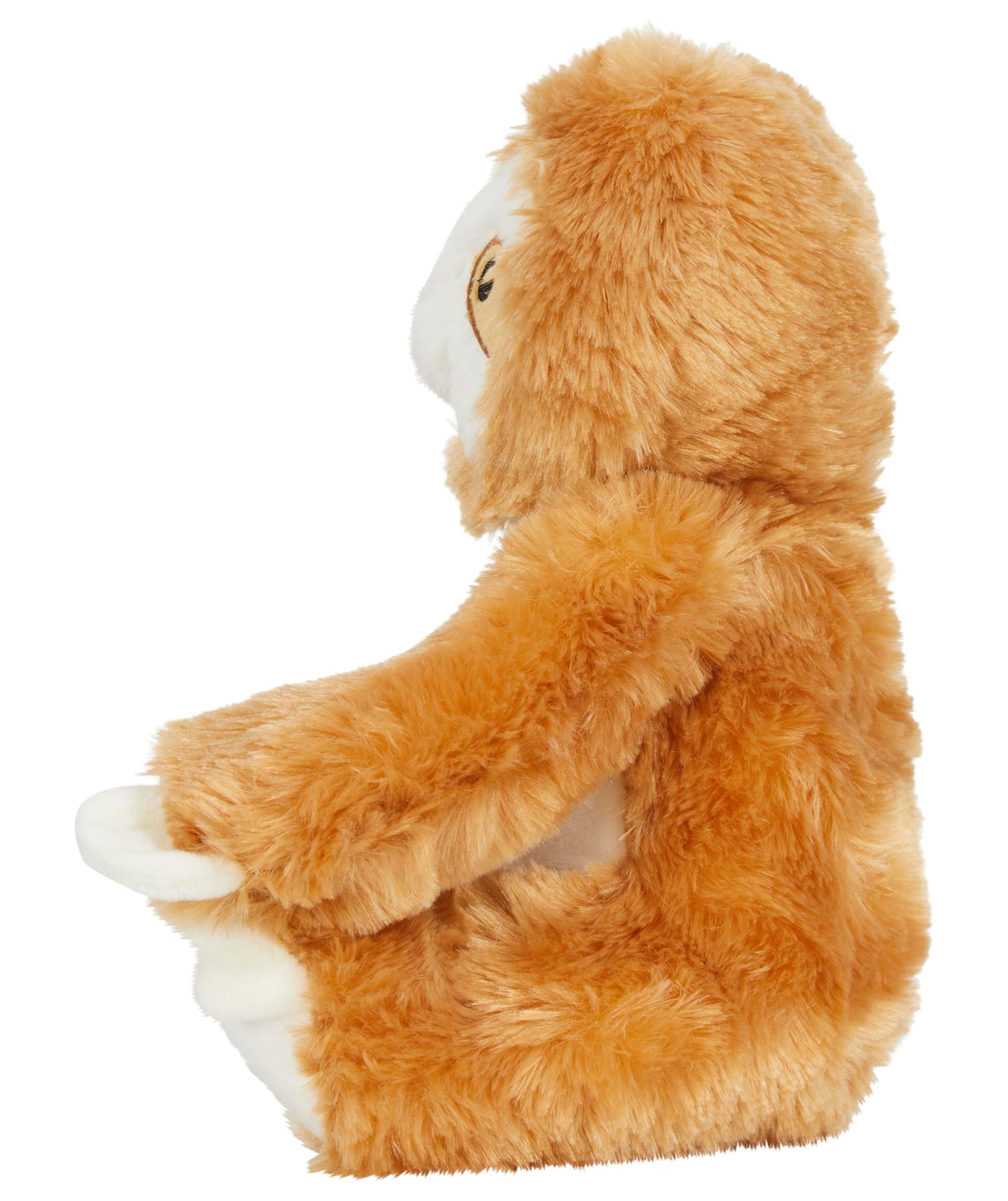 Personalised Photo Teddy Bear – Add Photo on Front & Text on Feet | 28 Styles | Custom Keepsake Gift for Baby, Sympathy, Birthday & More (Brown Teddy Bear)