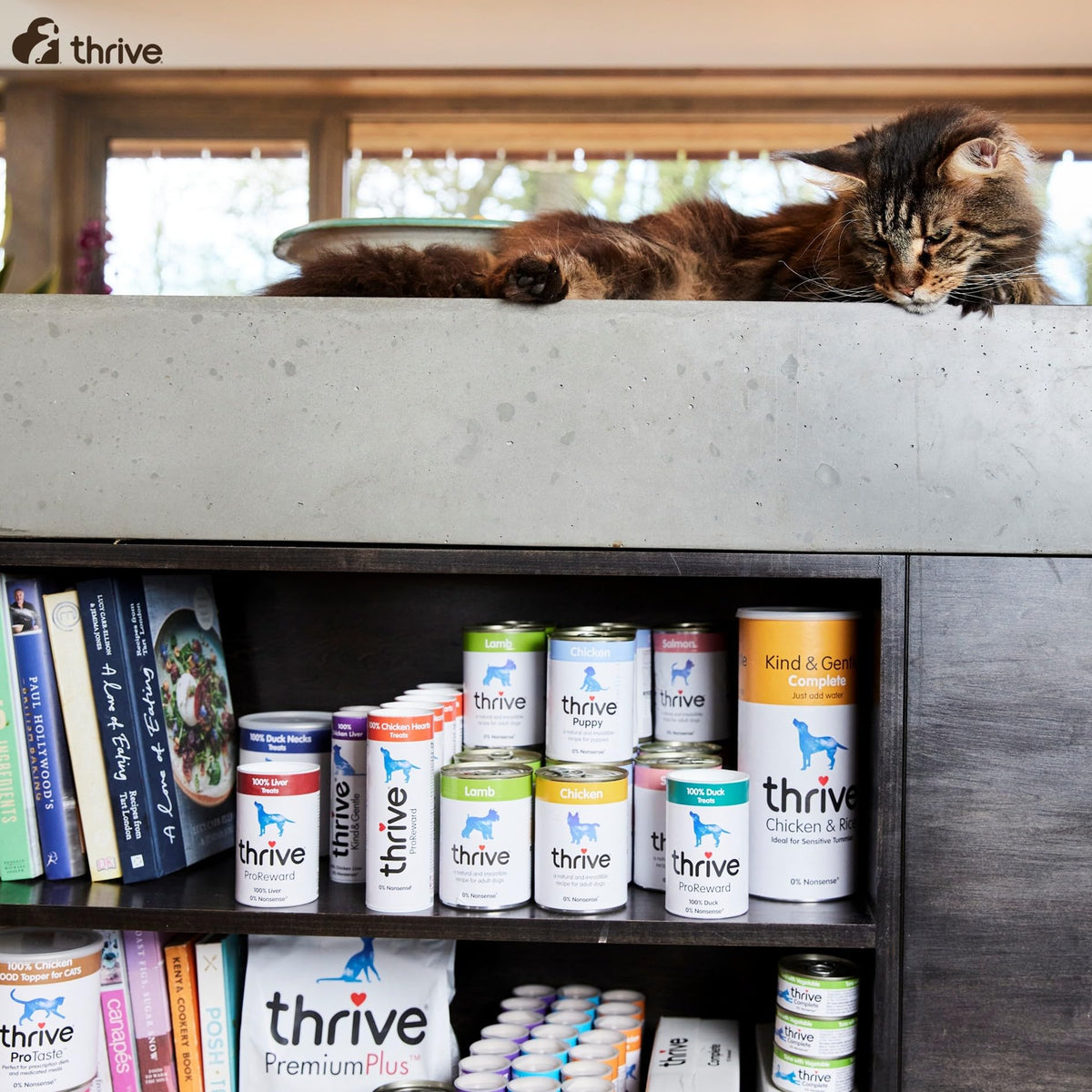 Thrive Complete Chicken Breast Wet Cat Food – Adult & Senior – 6 x 75g Cans
