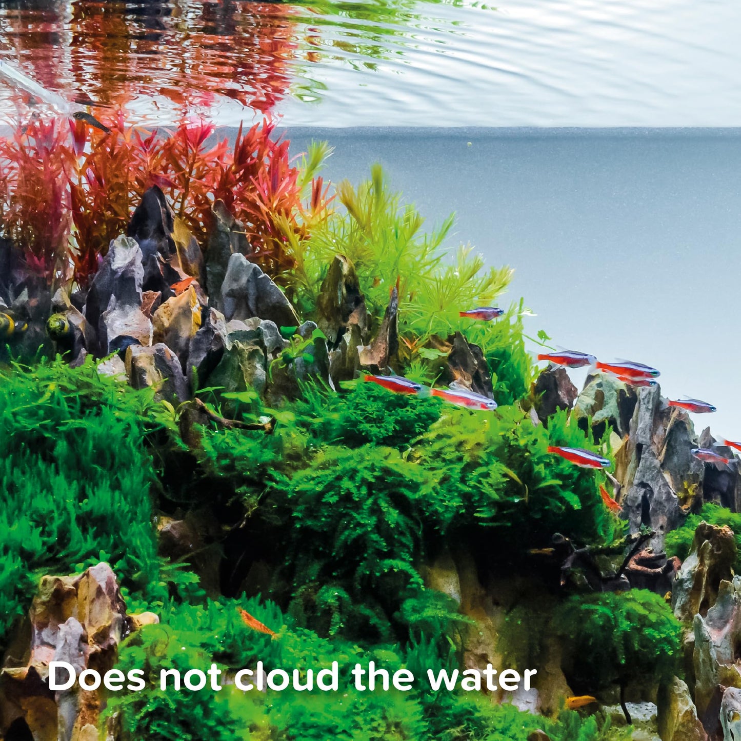 King British – Holiday Block Food – For Coldwater & Tropical Fish – Ideal for Leaving your Fish over Holidays – Does Not Cloud Water Ingredients – Helps keep Fish Healthy & Active