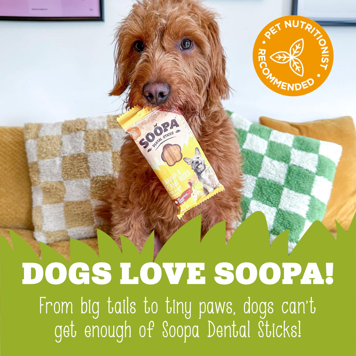 Soopa Carrot & Pumpkin Dog Dental Sticks, Chews to Clean Teeth, 100 g, 1-Pk