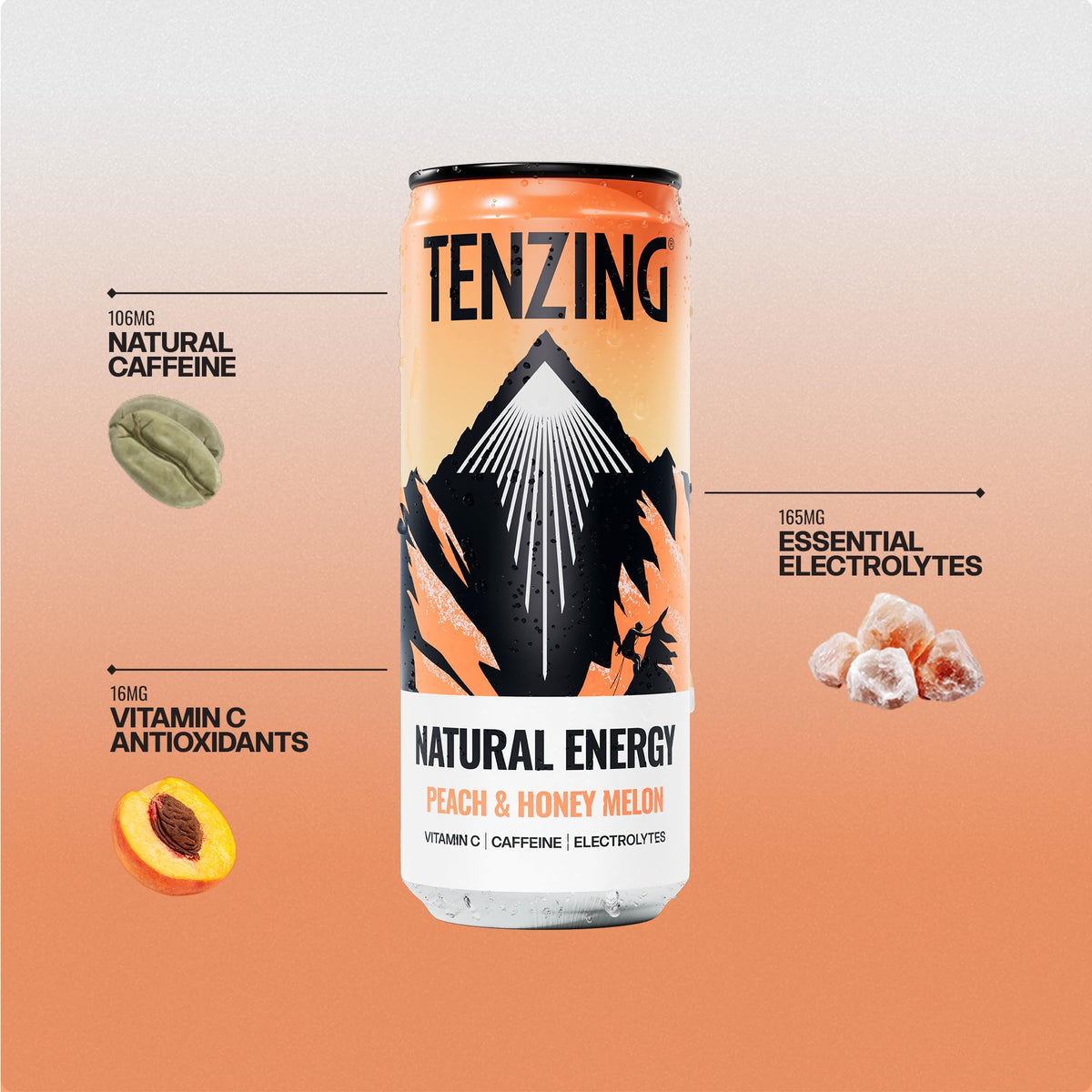 TENZING Natural Energy Drink, Plant Based, Vegan, & Gluten Free, +BCAA, Apple & Seaberry, 330ml (Pack of 12) - Packaging may vary