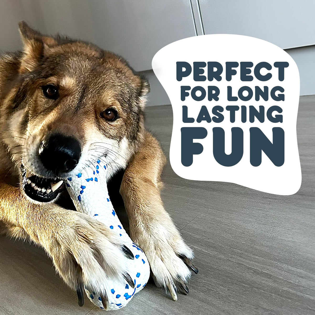 Petface Super Tennis Balls For Dogs, Throw and Fetch, Outdoor Exercise (Pack of 12)