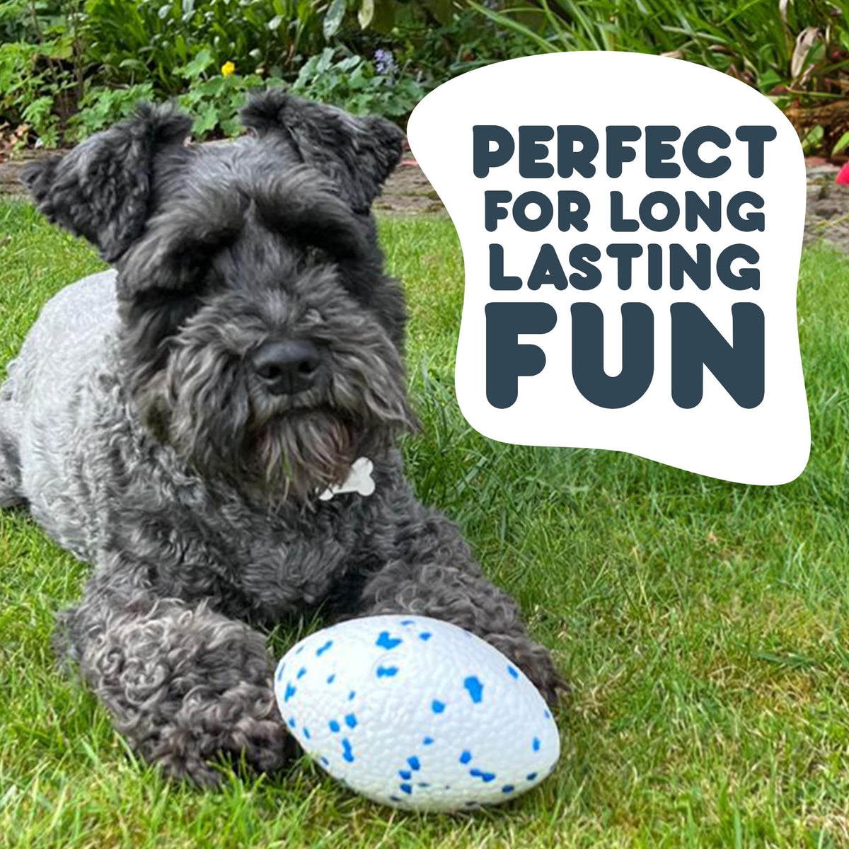 Petface Super Tennis Balls For Dogs, Throw and Fetch, Outdoor Exercise (Pack of 12)