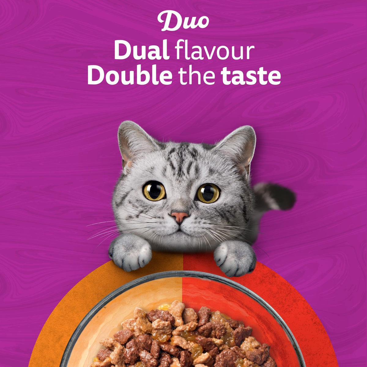 WHISKAS DUO Adult Wet Cat Food in Jelly 12x85g Surf & Turf (Pack of 4)