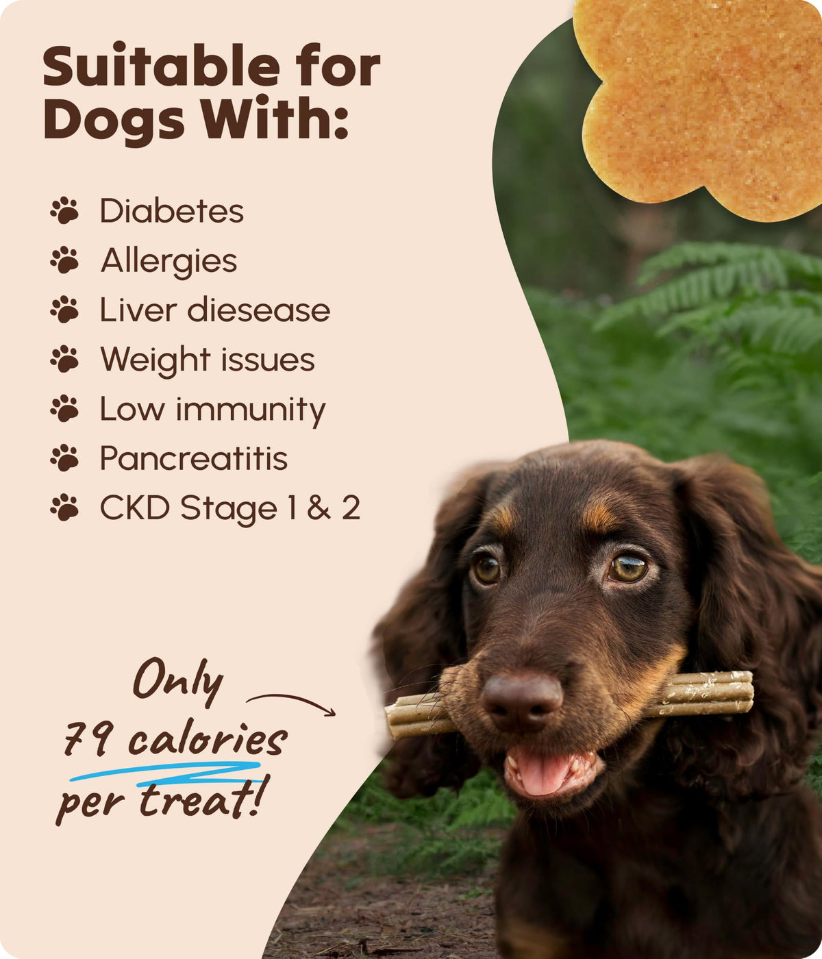 Soopa Carrot & Pumpkin Dog Dental Sticks, Chews to Clean Teeth, 100 g, 1-Pk