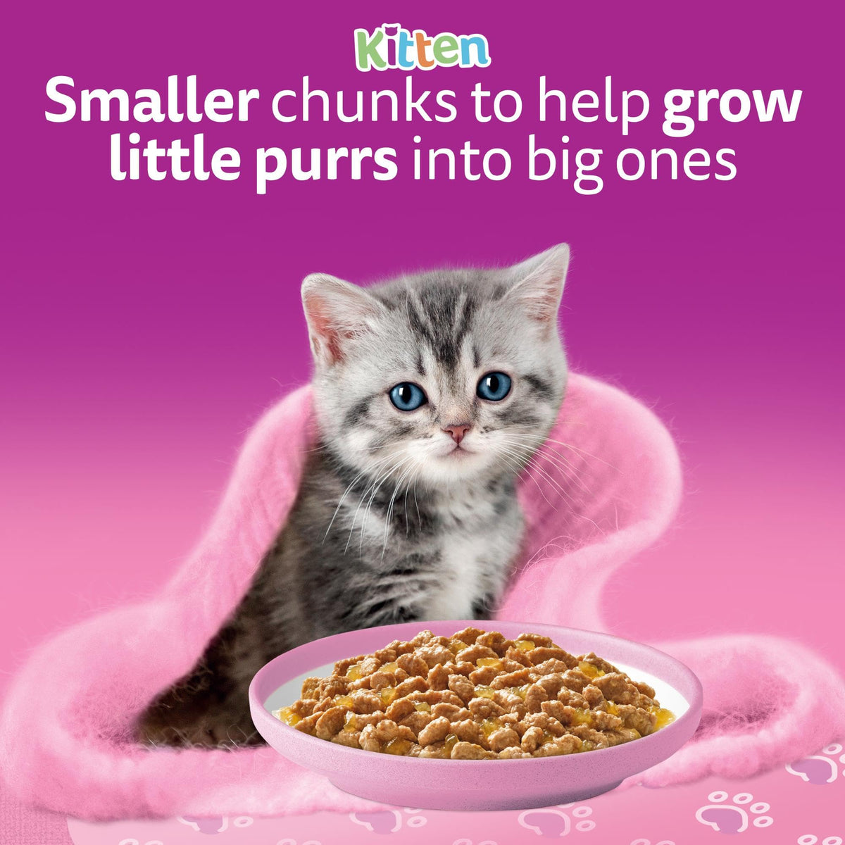 whiskas Junior Poultry Selection in Jelly 84 Pouches, Wet Kitten and Cat Food, Selection of Chicken, Duck, Poultry and Turkey, Megapack (84 x 85 g)