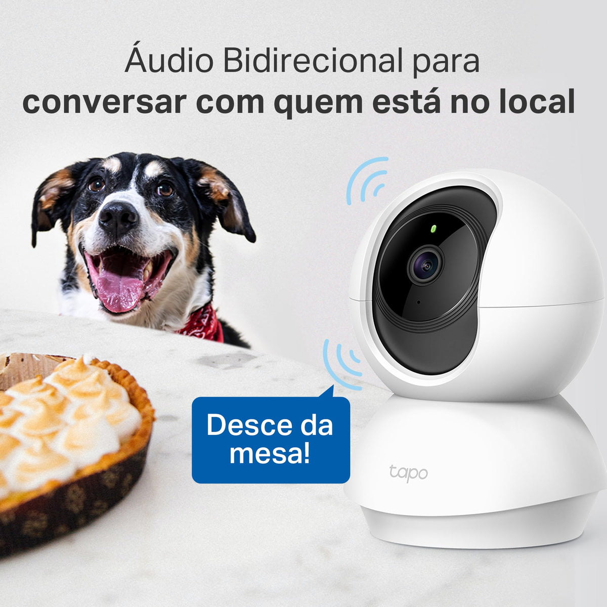 Tapo C200 Full HD Pan/Tilt Indoor Security Camera Pet Camera House Security