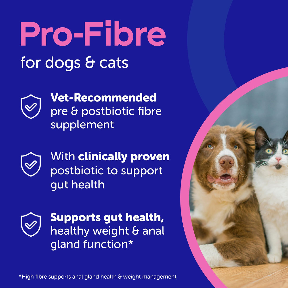 Protexin Pro-Fibre for Dogs, High-Fibre Digestive Supplement with Prebiotics & Postbiotics, Fibre for Dogs to Support Gut Health, Immune , Anal Glands & Stool Support, Protexin Dog Supplement, 500g