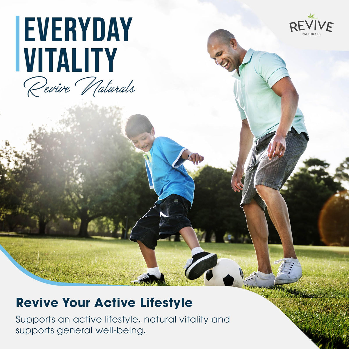 Multi Collagen Protein Powder 400g - Types I, II, III, V & X - Hydrolyzed Grass Fed Bovine, Wild Caught Fish, & Free-Range Chicken & Eggshell Collagen by Revive Naturals