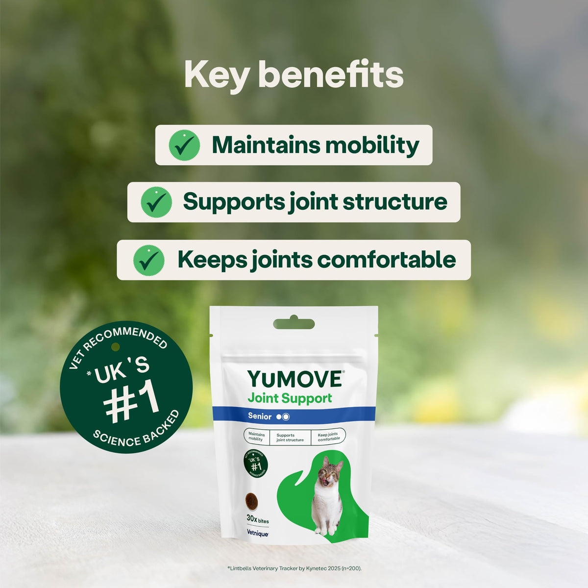 YuMOVE Senior Cat Joint Supplement for Joint Care & Joint Aid, for Older, Stiff Cats with Glucosamine, Chondroitin & Green Lipped Mussel, 60 Capsules - Packaging May Vary