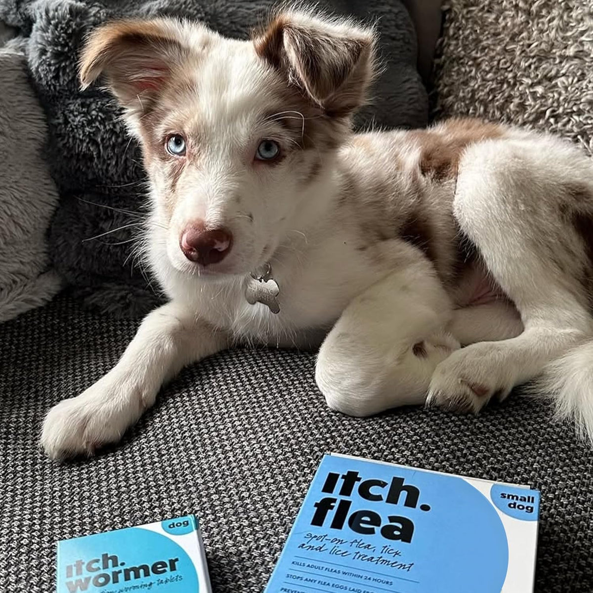 Itch Dog Wormer Tablets for Dogs 3-19kg - 4 Tablets