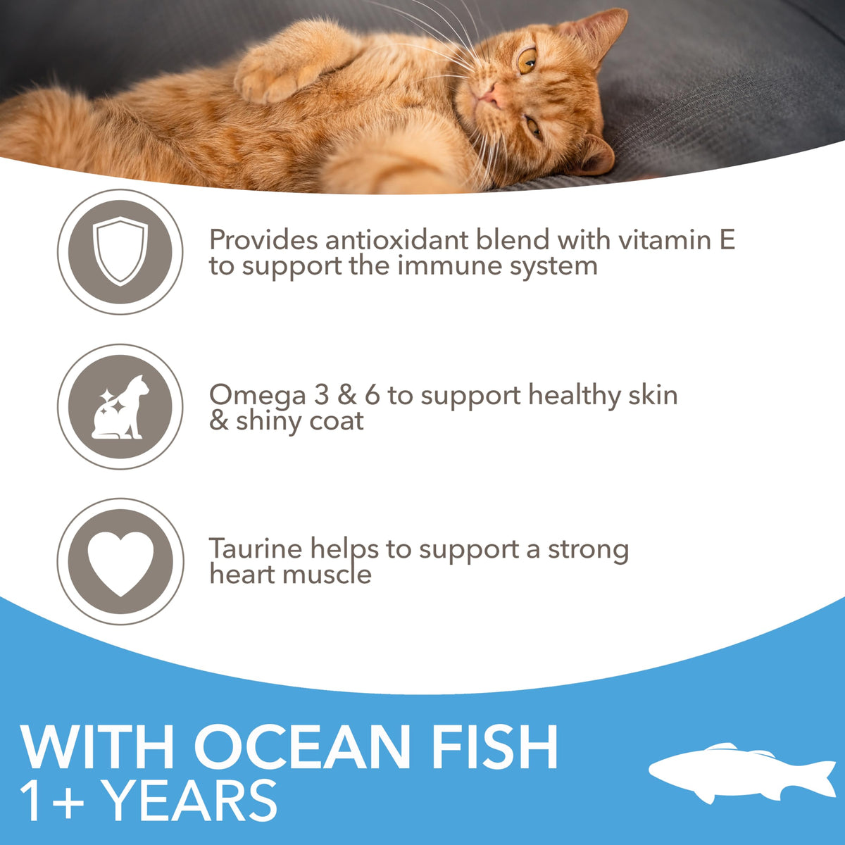 IAMS Adult Complete Dry Cat Food Chicken 3kg - Supports Strong Immune System