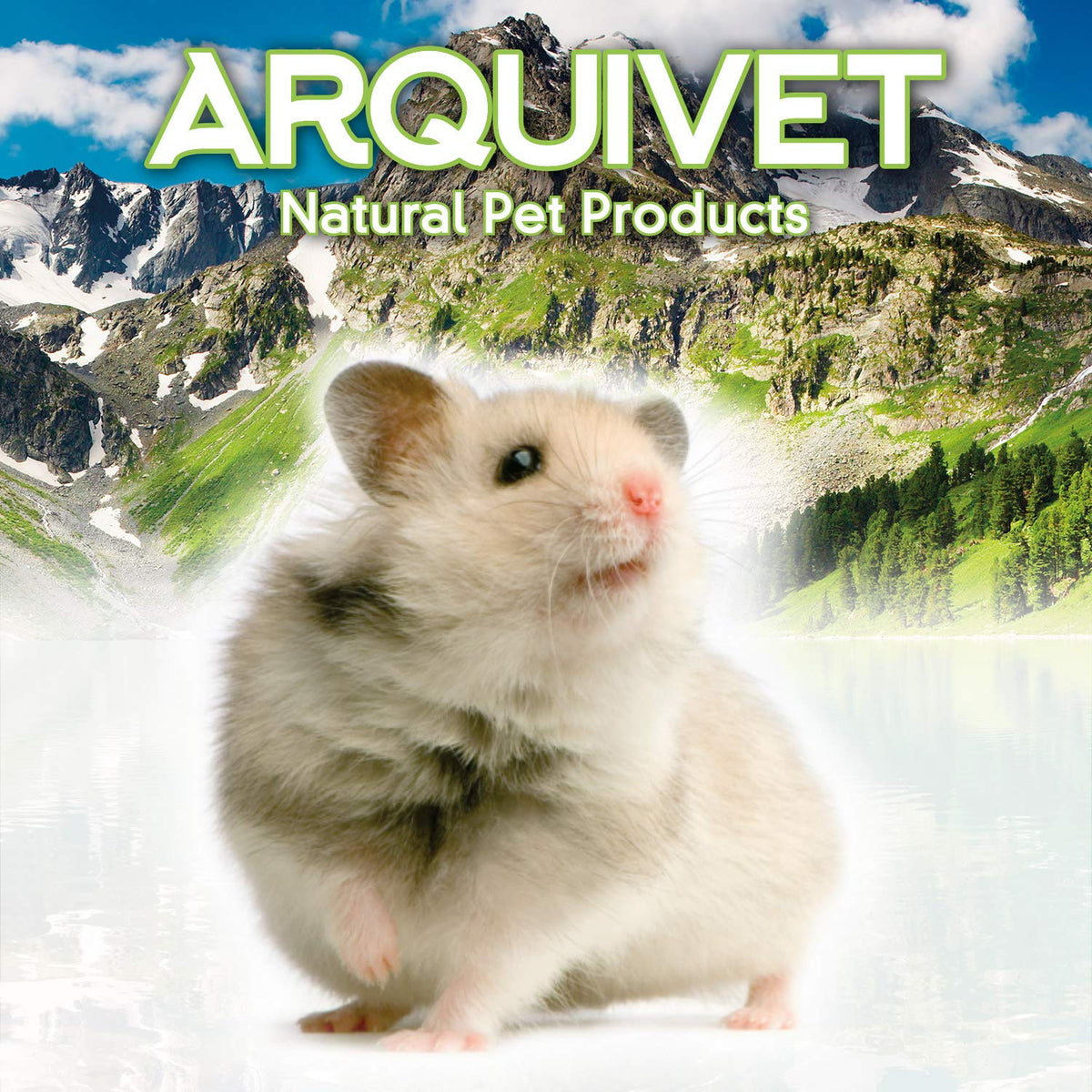 CLASSIC Crystal Deluxe Guinea Pig Water Bottle 320ml Non-Drip Rabbit