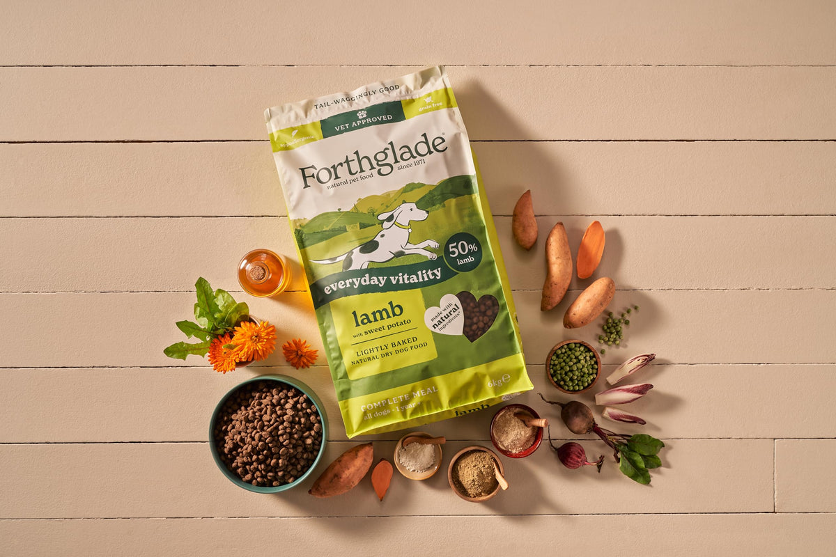 Forthglade Dry Dog Food, Lightly Baked, (2kg), Hypoallergenic and Grain Free Dog Food, Adult 1 Year +, Turkey With Sweet Potato, Completed and Balanced Meal, 50% Single Source Protein