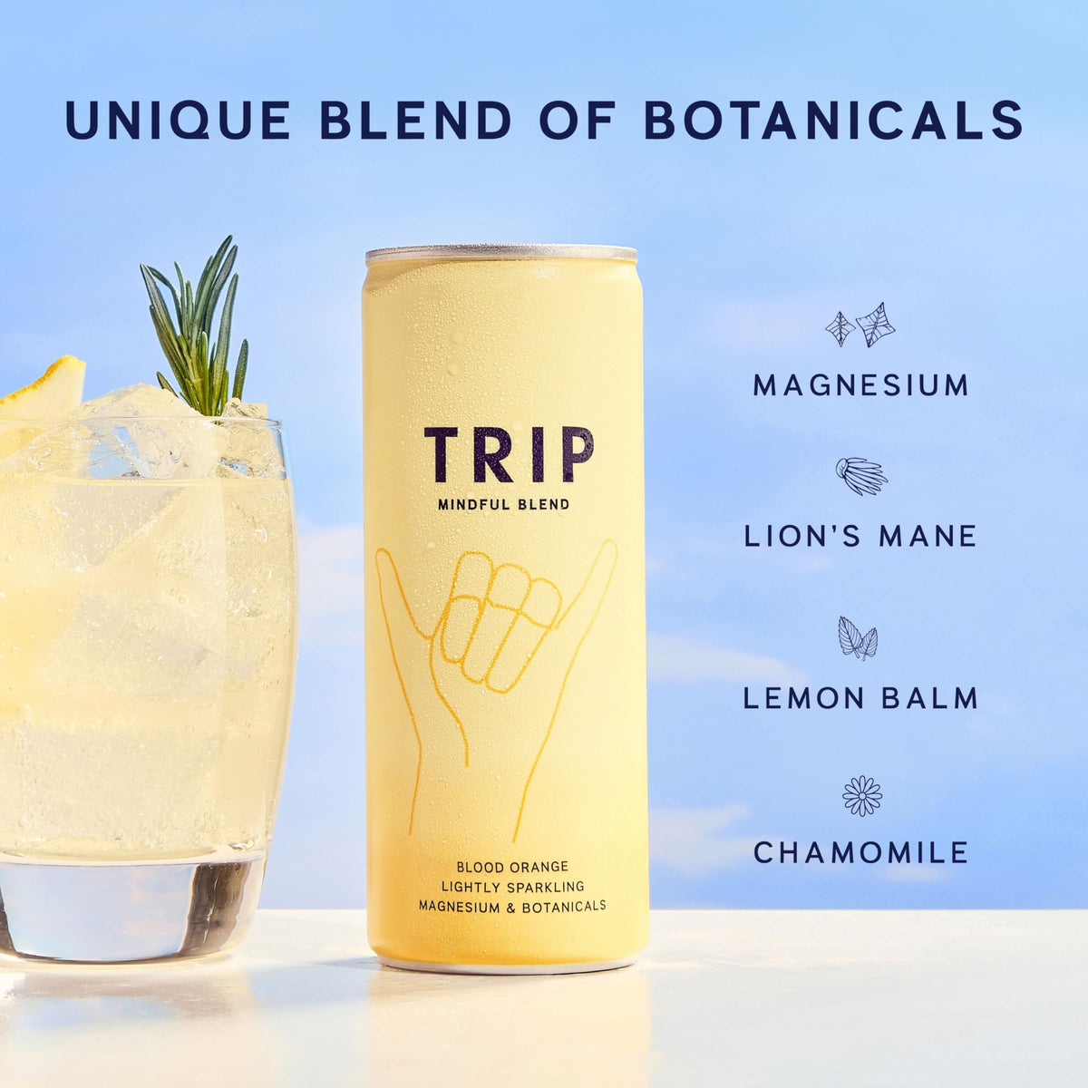 TRIP Calm Magnesium Drink, Sparkling Mocktail, Ultimate Sampler Mix, 12pack