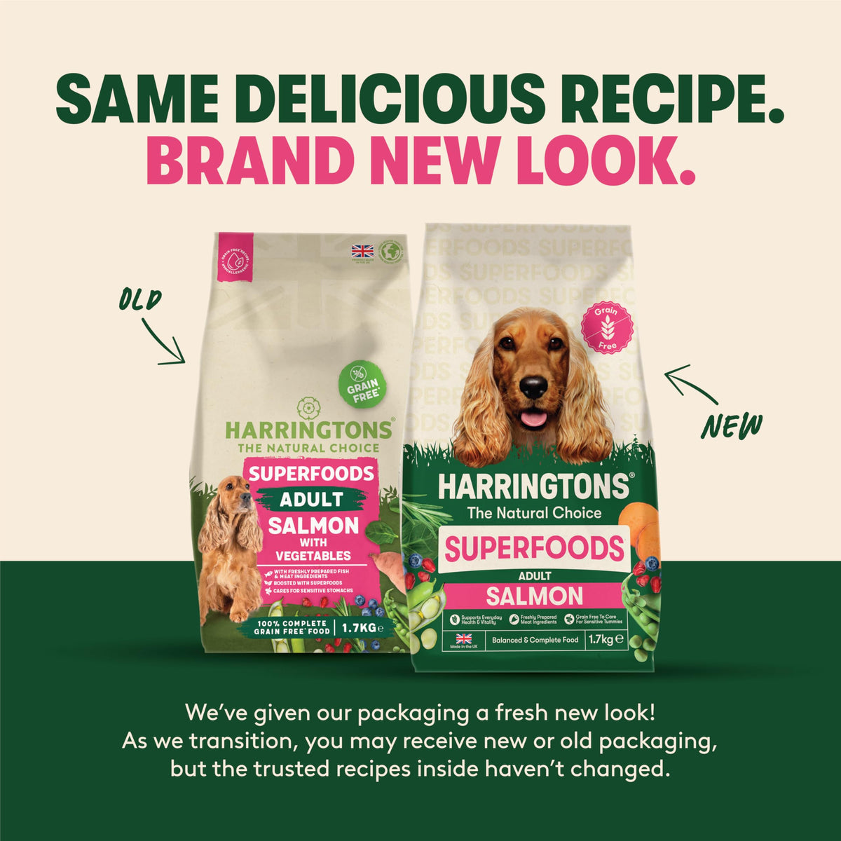 Harringtons Superfoods Complete Grain Free Dry Adult Dog Food Salmon with Veg 12kg - Made with All Natural Ingredients (Packaging may vary)