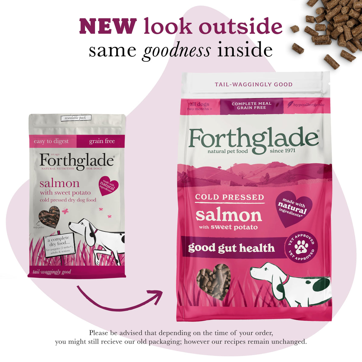 Forthglade Dry Dog Food, Cold Pressed (6kg), Hypoallergenic and Grain Free Dog Food, Salmon & Vegetables, Natural Senior, Adult and Puppy Meal Vet, Approved For Good Gut Health