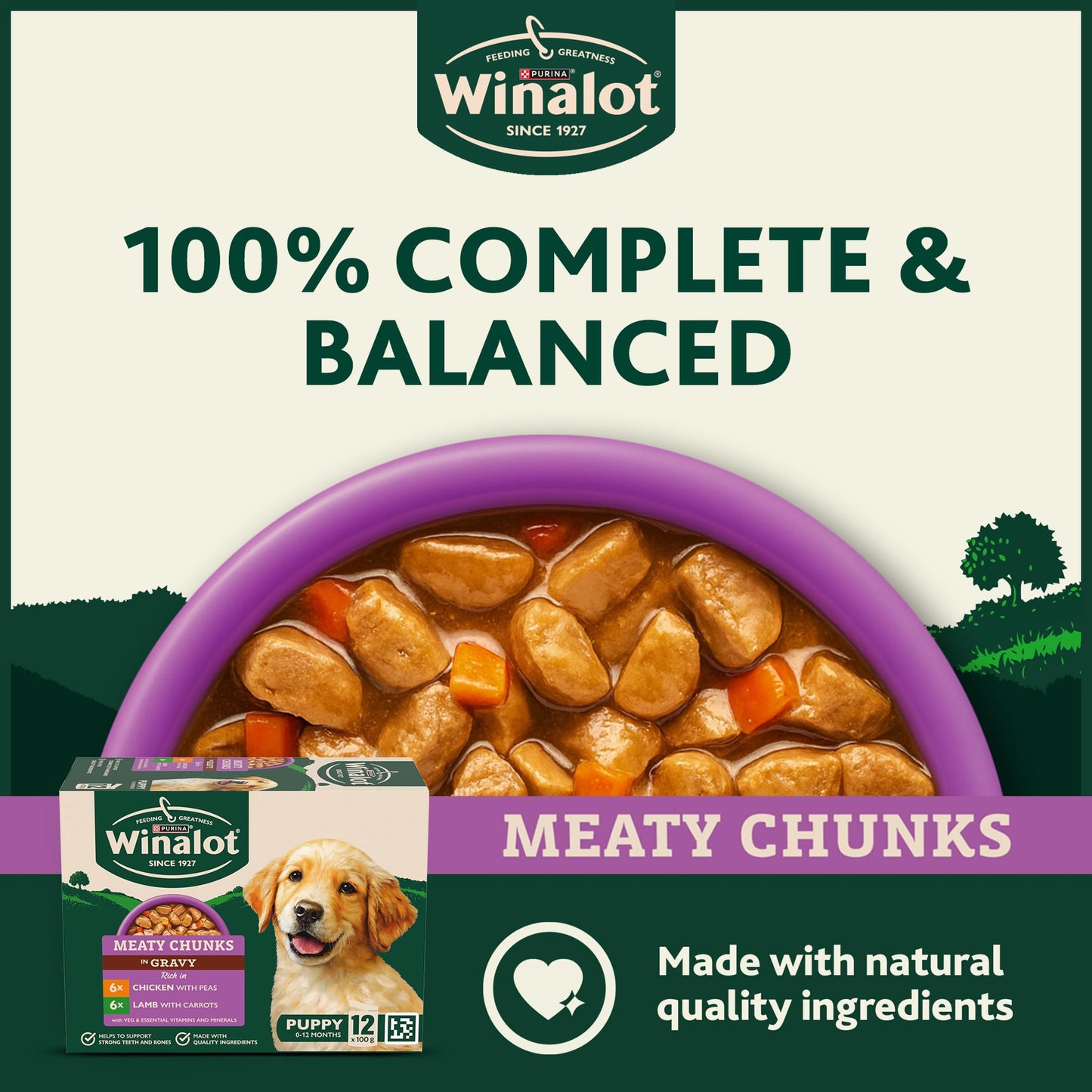 WINALOT Sunday Dinner Mixed in Gravy Wet Dog Food Pouches 40x100g