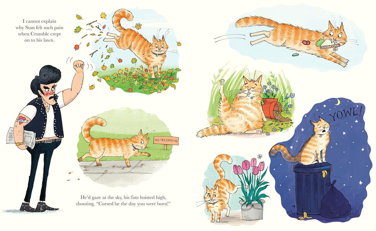The Cat in the Cupboard: A warm and witty picture book for 5-7 year olds