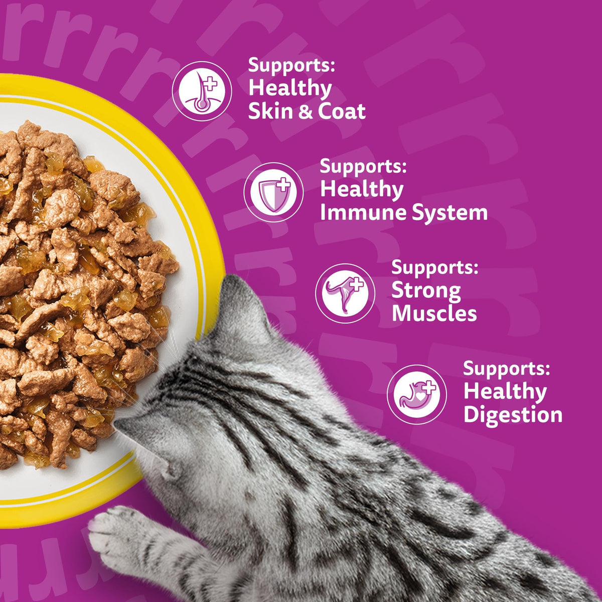 WHISKAS Adult Wet Cat Food in Jelly 40x85g Fish Favourites