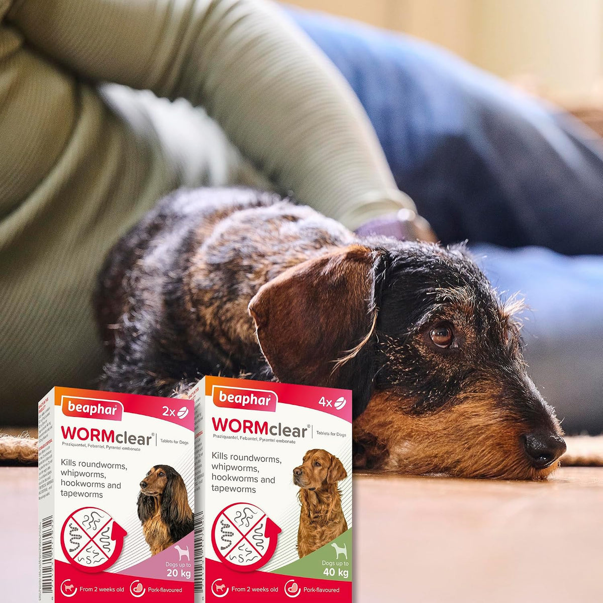 Beaphar - WORMclear® Tablets for Dogs up to 20kg - 2 Tablets - Kills All Common UK Intestinal Worms (Roundworms & Tapeworms) - Vet Strength Wormer - Pork-Flavoured - For dogs over 2 weeks old & 3kg